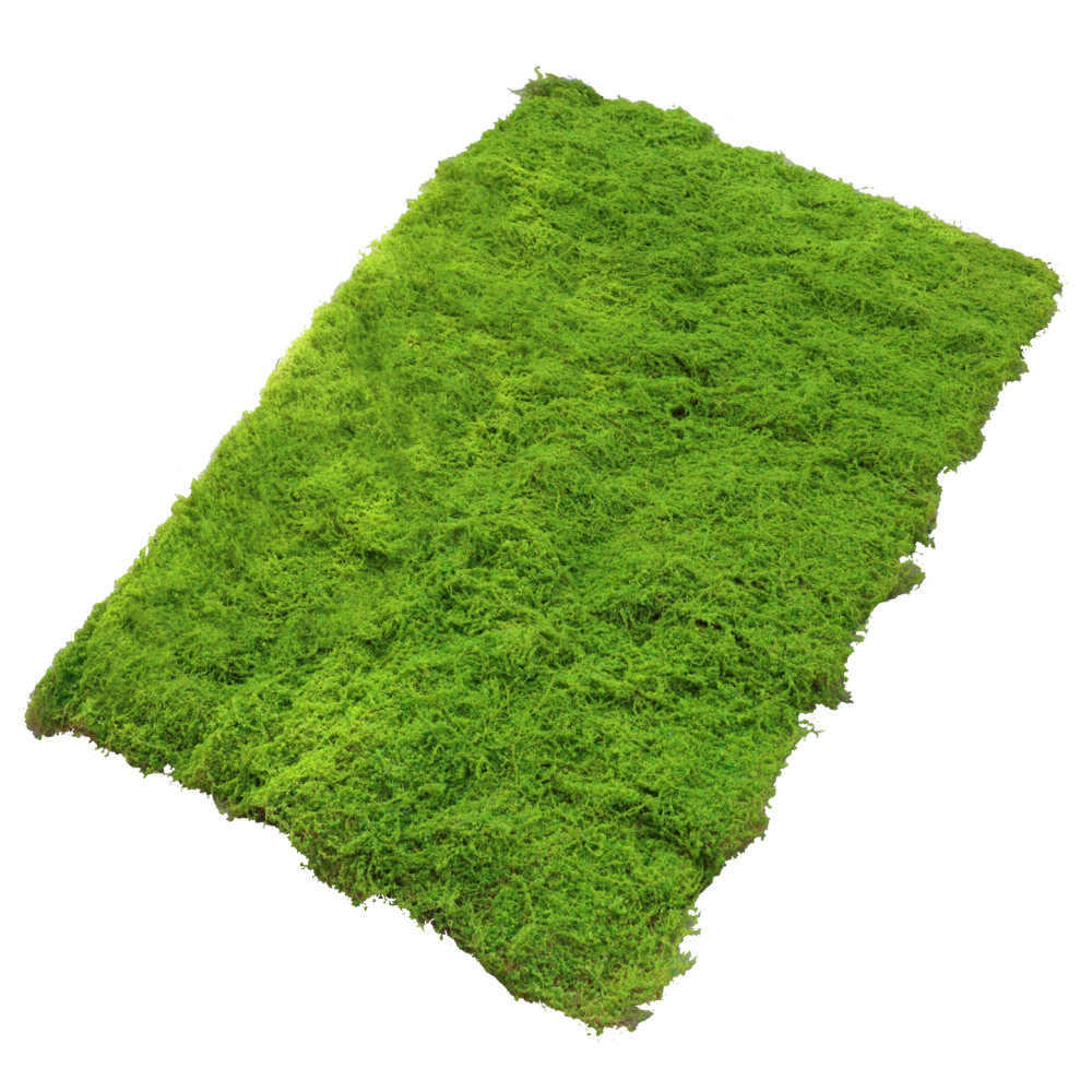 Preserved Moss Sheet - 인조 이끼 잔디 매트, 실내 정원