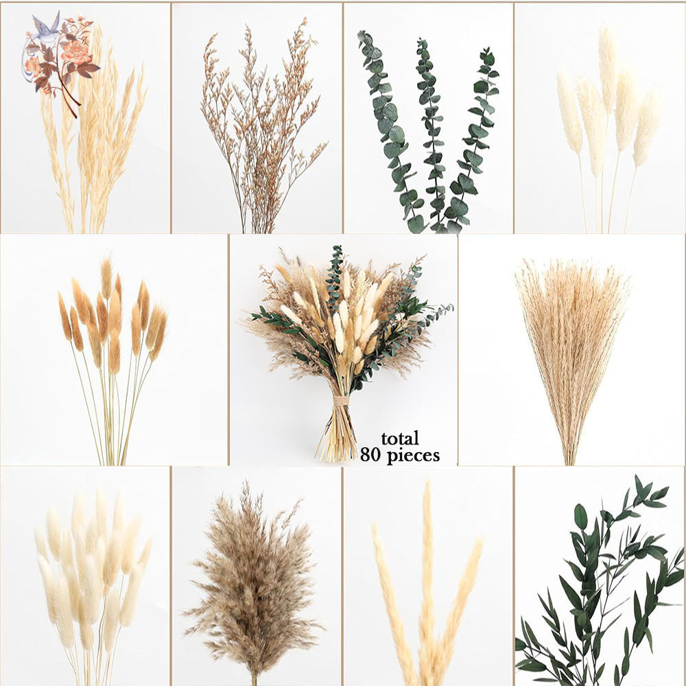 80개입 천연 건조 꽃다발, 팜파스 풀과 유칼립투스 잎 - Eucalyptus Preserved 리뷰 및 가격